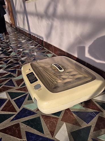 Компрессоры: Инкубатор для яиц R-com 50 (модель PX-50, Digital Egg Incubator) - — 3