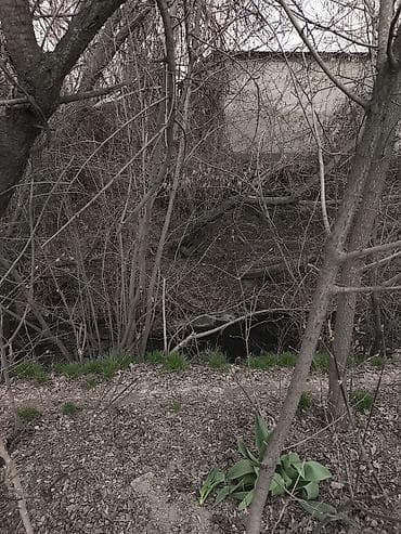 жер участок сатып алам: 8 соток, Курулуш, Кызыл китеп — 4