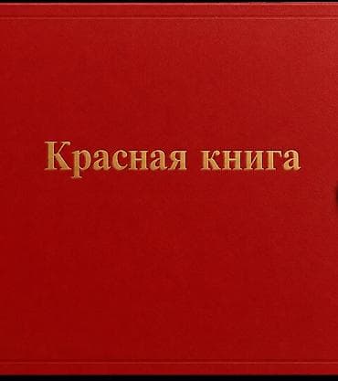 реально: 25 соток — 1