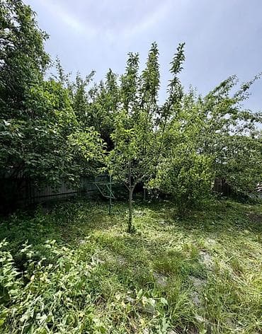 Кыймылсыз мүлк: 🏡🔥 ПРОДАЁТСЯ ДАЧА В ТАШ-МОЙНОКЕ! ДТ: «Мичуринец» 🌿 💥 Участок — 6 — 5