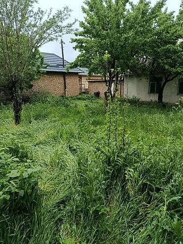 дом кунту: ПРОДАЕТСЯ ДОМ село Күн-Туу, 2 линия от центральной трассы, рядом — 8