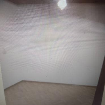 red centr: Студия, Без подселения — 3