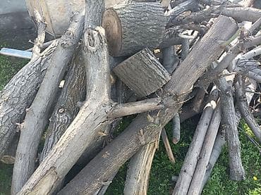 mini projector: Дрова — 3