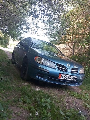 куплю девяносто девятку: Nissan Almera: 2001 г., Хэтчбэк — 4