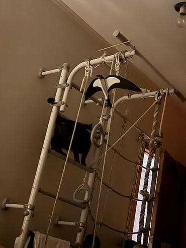 Охота и рыбалка: Лазалка — 1