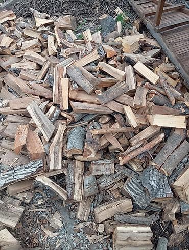 дуб лес: Дрова Бесплатная доставка — 2