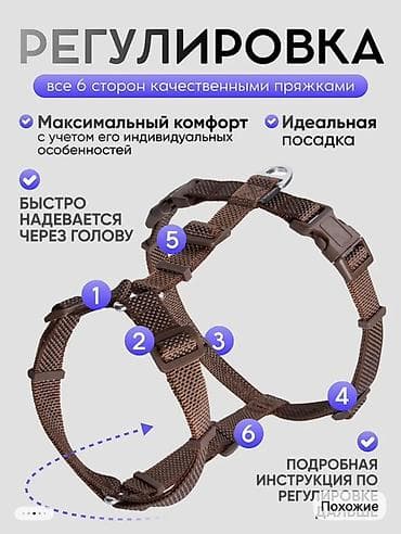 cane corso: Шлейка для собак с фурнитурой из авиационного алюминия(покупали для — 2