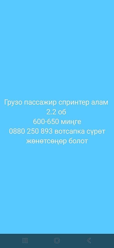 650: Ищу к покупке грузо-пассажирский Mercedes Sprinter с дизельным — 1