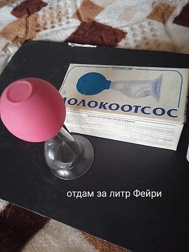 помощь людям: Отдам каждую за стиральный порошок.Самовывоз мкр Асанбай дом 28 — 6