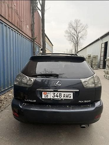 Транспорт: Lexus RX: 2003 г., 3 л, Автомат, Бензин, Кроссовер — 3