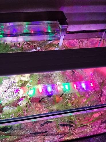 аквариум фильтр: Аквариумное LED-освещение с креплением на края стекла - Узкий — 3