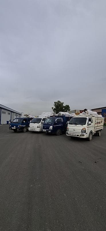 Заказать Хендай портер, Переезд, C грузчиком