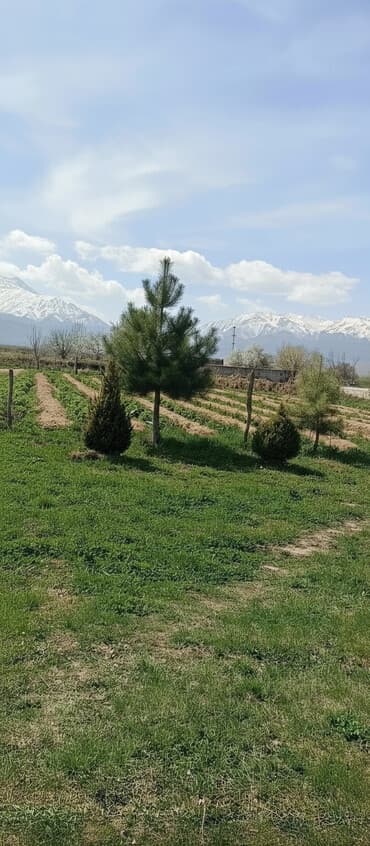 земельная доля: 7 соток, Для строительства, Красная книга — 1