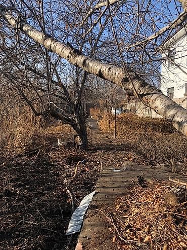 кок жар ж м: Дом с участком и садом - район Аламедин -асфальтированная дорога к — 1
