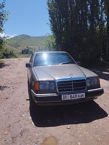 Унаа: Mercedes-Benz W124: 1989 г., 2.3 л, Кол менен иштөөчү, Бензин, Седан — 6