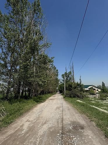 Жер тилкелери: 5 соток, Курулуш, Кызыл китеп — 6