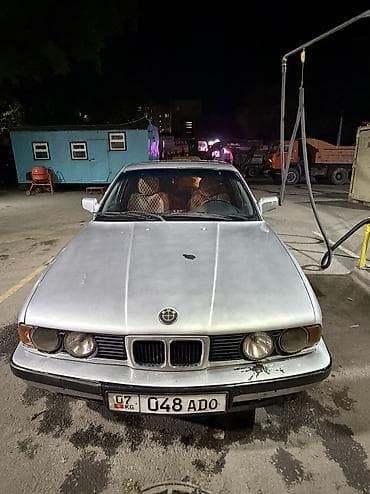 bmw e43: BMW 5 series: 1990 г., 2.5 л, Механика, Бензин, Седан — 2