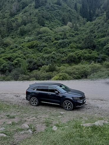 Kia Sorento: 2021 г., 2.2 л, Автомат, Дизель, Кроссовер — 6