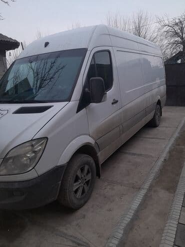 Услуги переводчика: Услуги переводчика — 2