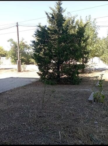 дом на садовое: Коммерческое помещение на 1 этаже с выходом на улицу и из подъезда, с — 9