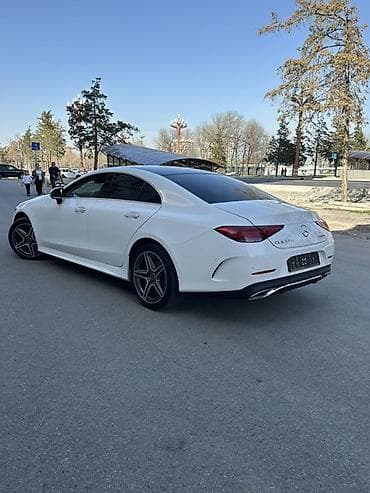 ml 163: Mercedes-Benz CLS-Class: 2019 г., 2 л, Автомат, Дизель, Седан — 4