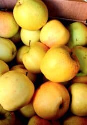 Продаются яблоко Голден сочные сладкие кг 120 сом, Хурма