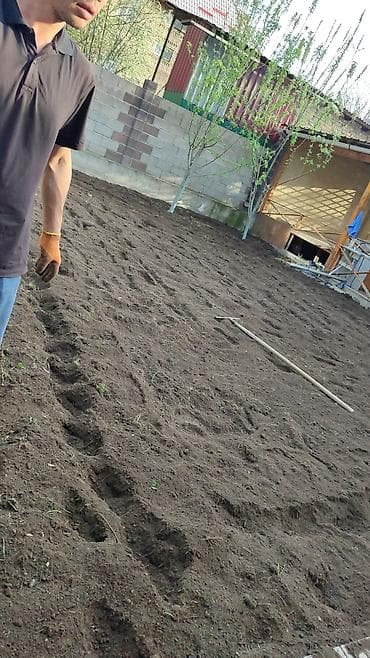 резка дерево: Вспашка огород — 4