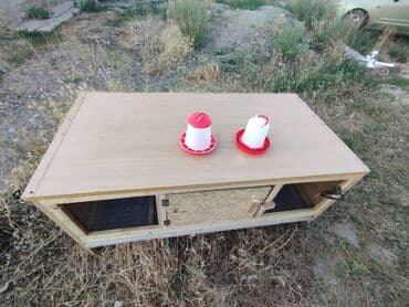 домик для животных: Брудер размер длина 150, ширина 48, высота 60 см есть в наличии — 4