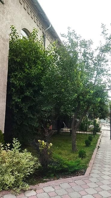каинды прадаю дом: Здание, 1058 м² — 2