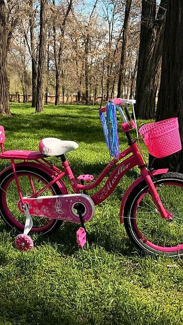 zimmer e9 pro: Детский велосипед, 2-колесный, 4 - 6 лет, Для девочки — 1