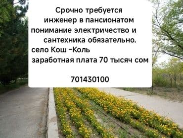 работа швеи бишкек: Требуется Администратор: 3-5 лет опыта, Оплата Ежемесячно — 1