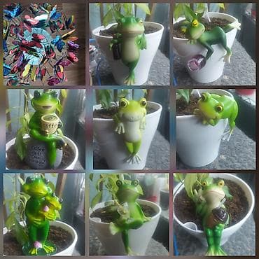 спальный гарнитур в бишкеке цены: Комнатные растения и декор для цветов Ассортимент: - Кактусы, в т.ч — 10