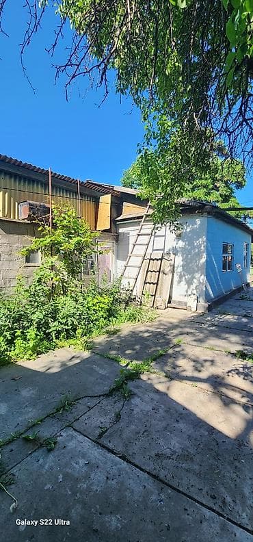 калыс ордо 1: Продаю! Пишпек 🏠 Дом.3ком.60м2 Баня,Погреб, хоз /постройки — 2