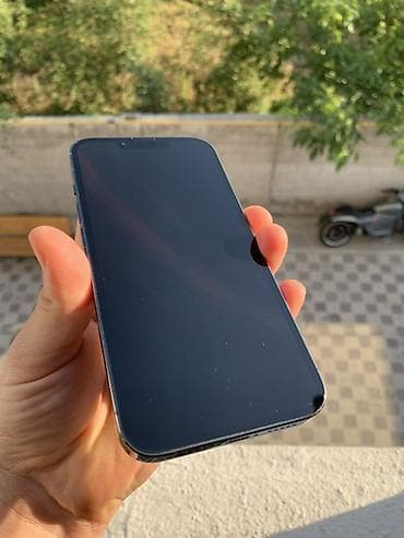 IPhone 13 Pro, Графит
