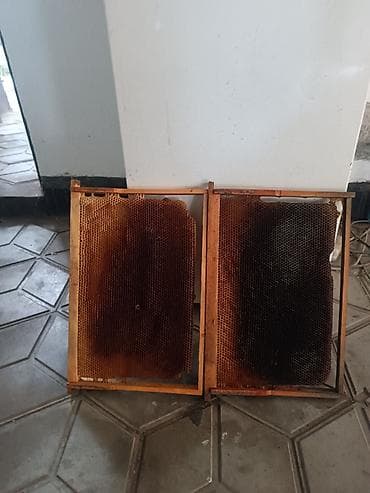 гнездо для кур: Продам суш. дадан и полурамка — 2