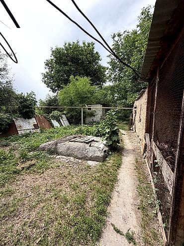 сараи: В Сокулуке ( верхняя зона) продается просторный дом. 🏠 Участок 12 — 4