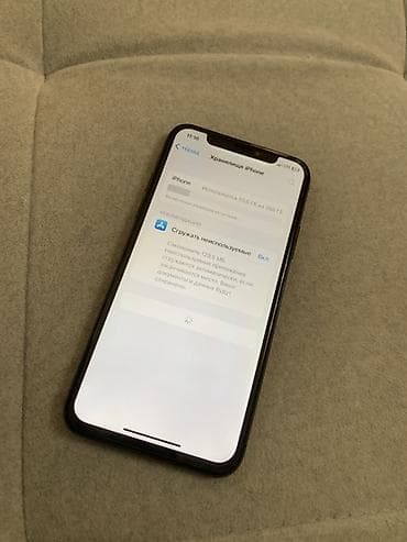 apple watsh: IPhone X, 256 ГБ, 100 % — 2