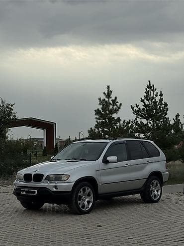 BMW X5: 2003 г., 3 л, Автомат, Дизель, Кроссовер — 2