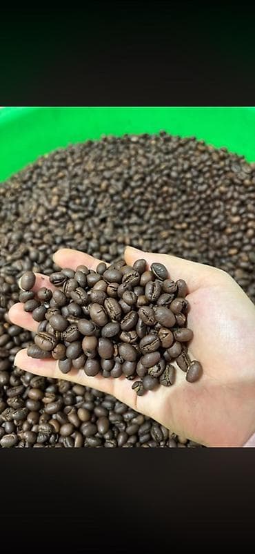 обжарка: 🔥 BLACK COFFEE SNG Прямые поставки кофе из Вьетнама 🇻🇳 Без посредников — 8