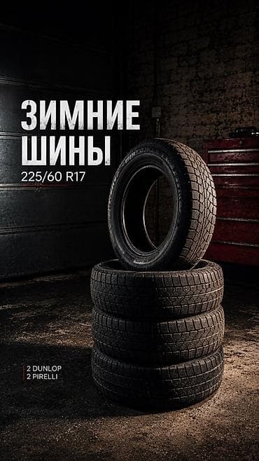 Шины 225 / 60 / R 17, Зима, Б/у, Комплект, Легковые, Япония, Dunlop