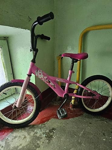 amanat x5: Детский велосипед, 2-колесный, 6 - 9 лет, Для девочки — 1