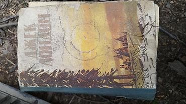 меховые шапки: Роман, На русском языке, Б/у, Платная доставка — 1