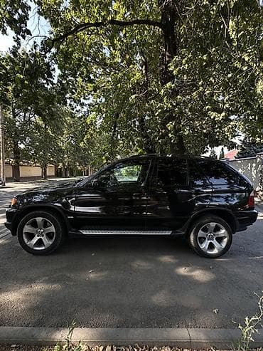 BMW X5: 2002 г., 3 л, Автомат, Дизель, Кроссовер — 4