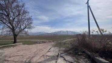 ишу земельный дом кок жар: 385 соток, Для сельского хозяйства, Договор дарения — 5