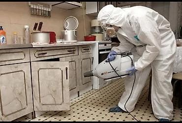 утепление квартиры: Профессиональная дезинсекция от тараканов — TARAKANOFF - — 2