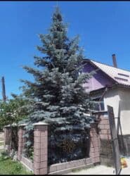 дом в иссык куле: Дом, 160 м², 13 комнат, Собственник, Старый ремонт — 2