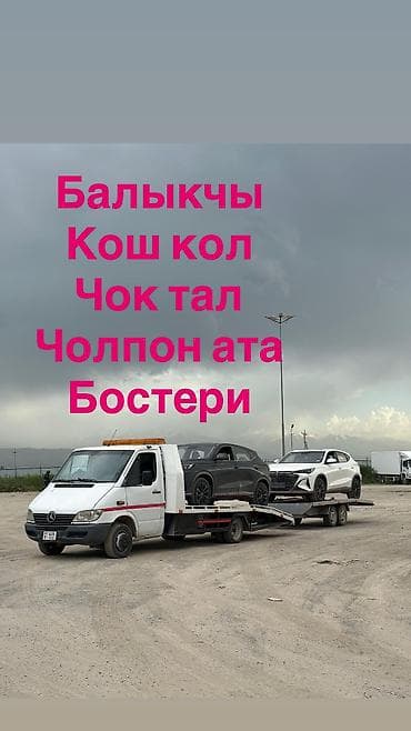 С лебедкой, С манипулятором, Со сдвижной платформой