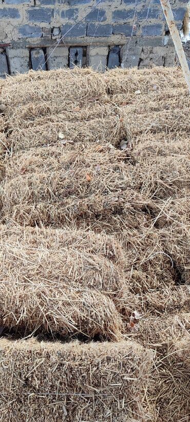 ары ящик: Тюки первый курс, сухие,зелёные и с молодого клевера. 400с за тюк без — 2