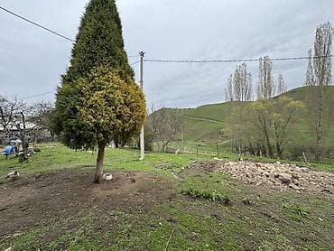 паливной земли: Продаётся уютный дом площадью 100 м² с просторным участком 28 соток — — 5