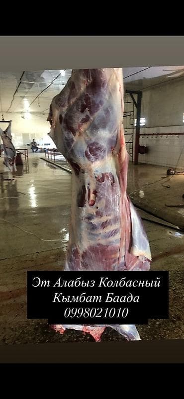 чехлы бу: Свежие полутуши и отруба для колбасного производства. - Вид мяса — 2